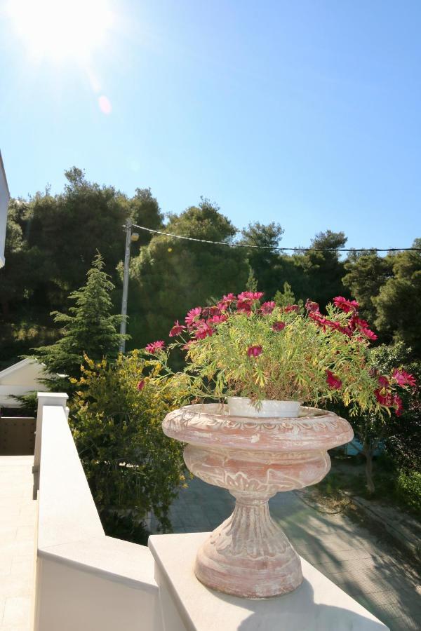 Villa Ariadne 雅典 外观 照片